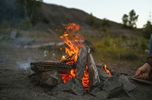 Omnis in velit venia